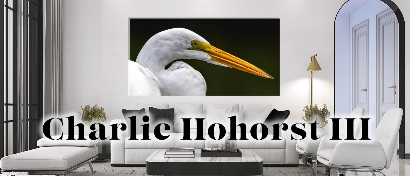 Charlie Hohorst III